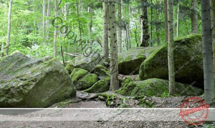 Wanderung in der Ysperklamm