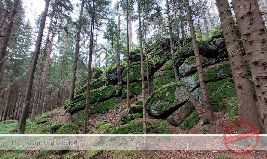 Steinwanderweg