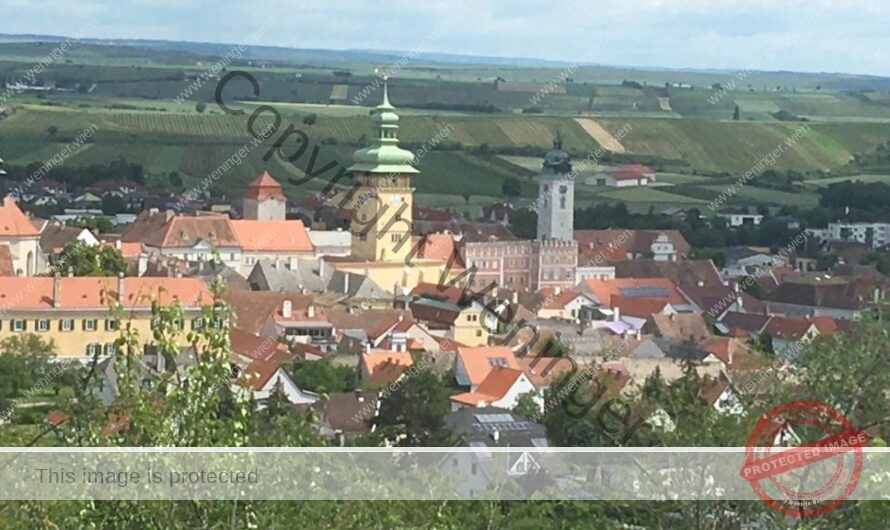 Wandern am Mittelberg und am Gollitsch