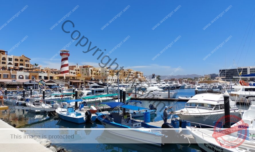 Letzter Stopp in Mexico: Cabo San Lucas