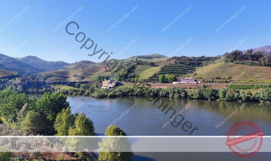 Ausflug am Rio Douro