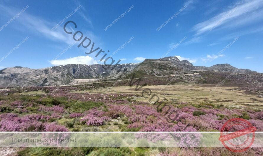 Am 1993m hohen Torre im Nationalpark