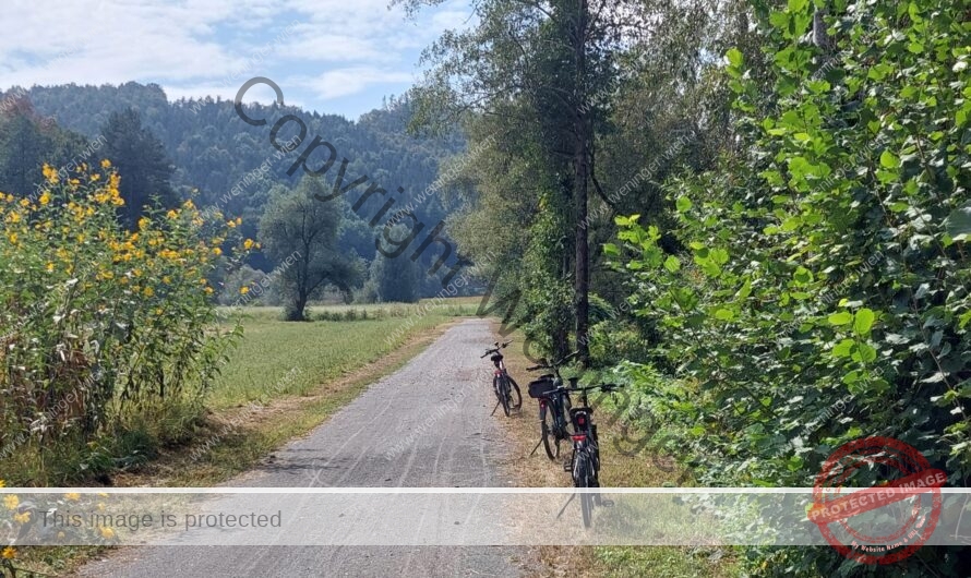 Radfahren an der Mur und der Sulm entlang