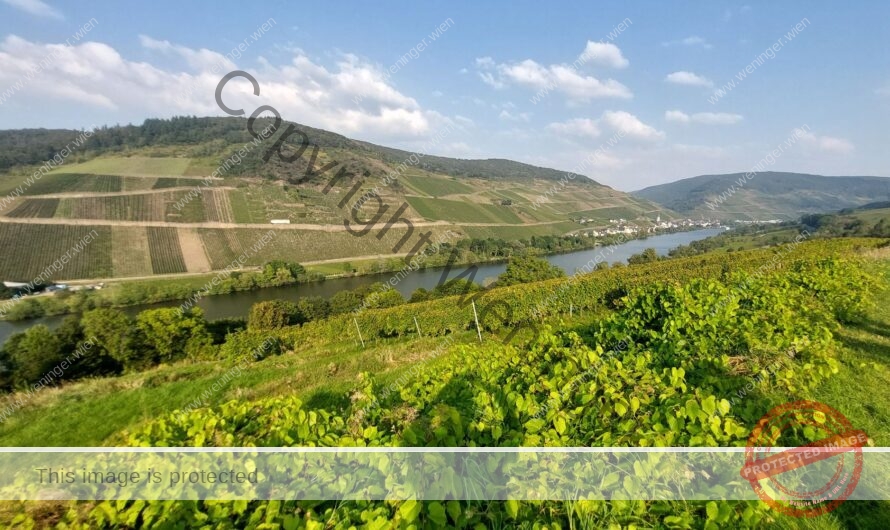 Mosel 5: Bernkastel-Kues – Zell