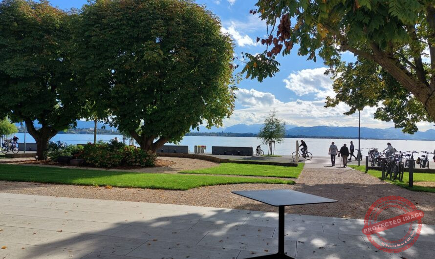 Bodensee6: Am Nordufer bis Bregenz