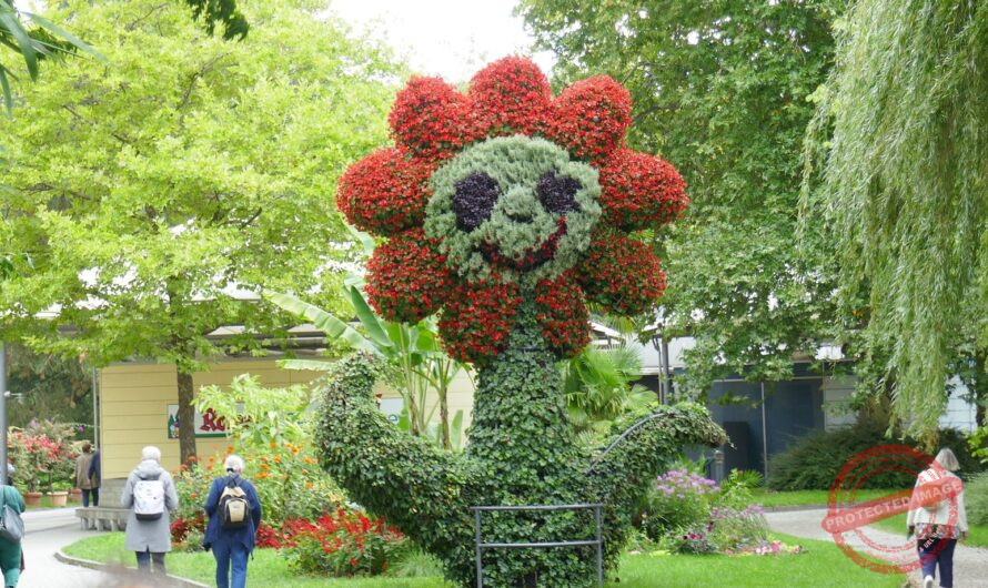 Bodensee4: Insel Mainau