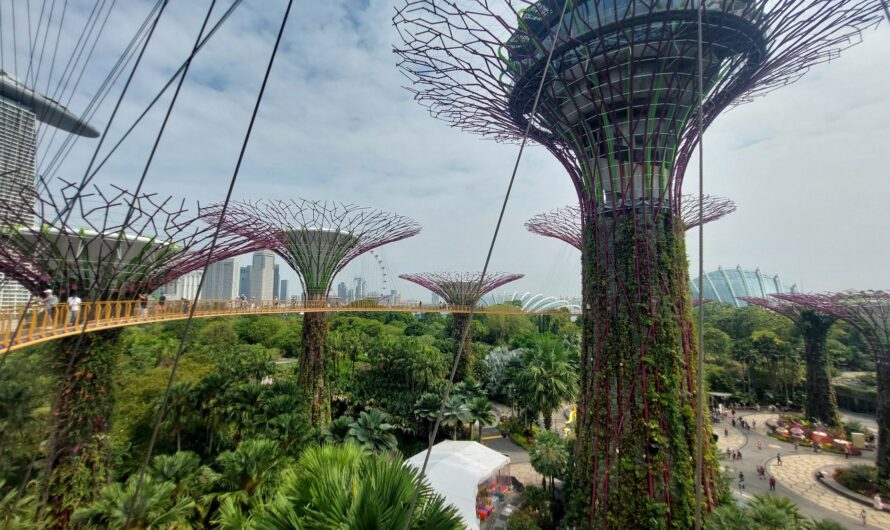 Südostasien 7: Gardens by the bay in Singapur