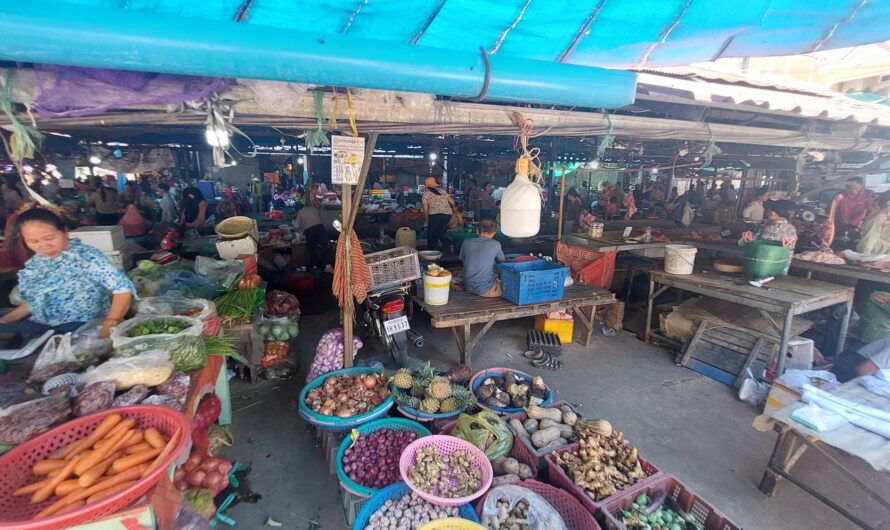 Mekong 2: Peam Chi Korng – Pak Russei