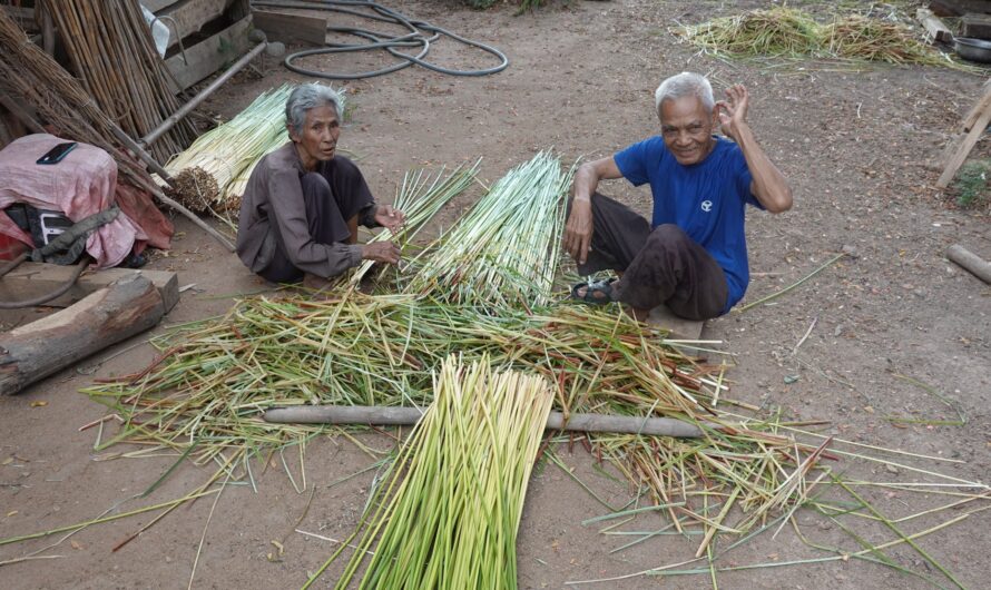 Mekong 3: Dorfleben am Tonle Sap