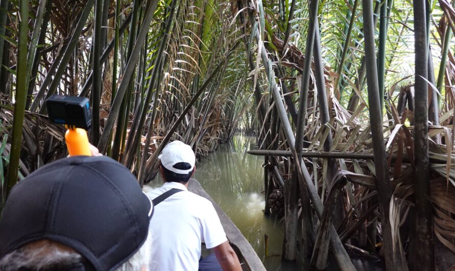 Mekong 7: Von Ben Tre nach Saigon