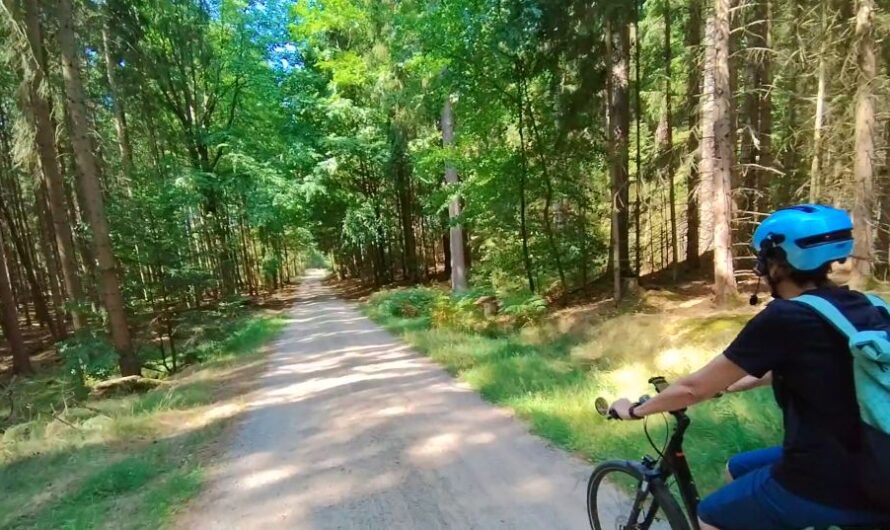 Gmünd 2: Radtour von Litschau