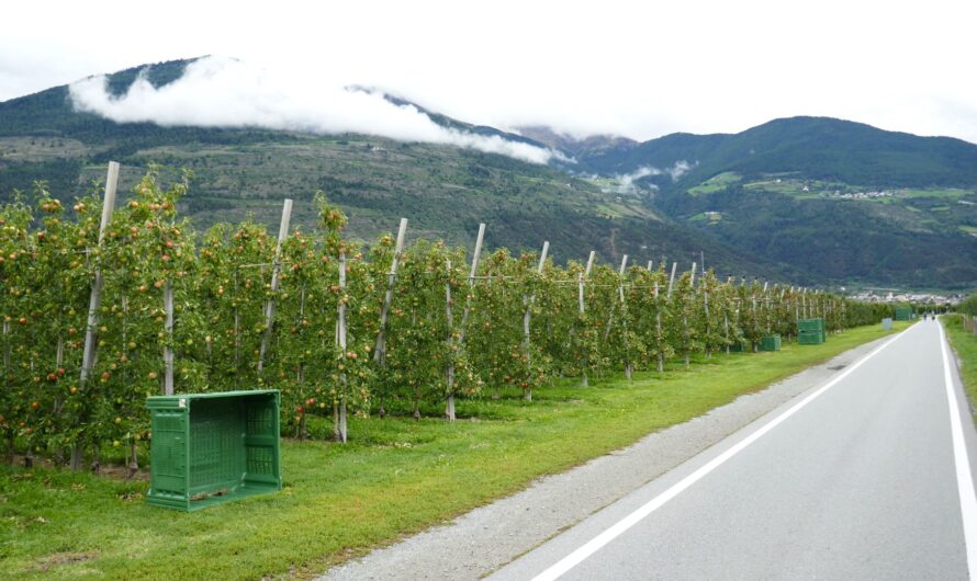 Vinschger Radweg