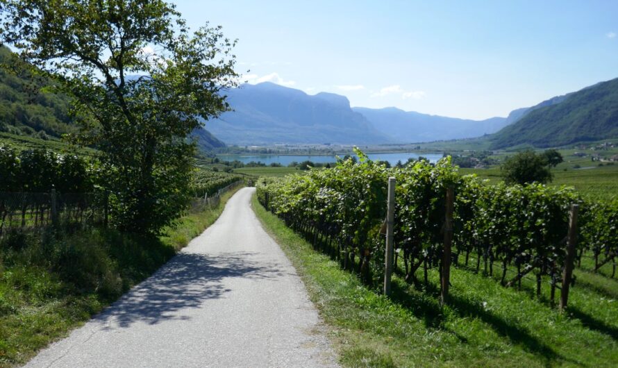 Weinstraße südlich von Bozen