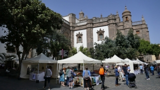 Kanaren_GranCanaria2_064