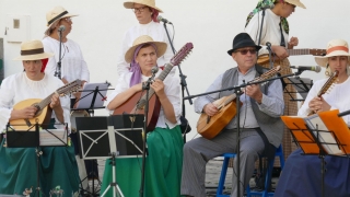 Kanaren_GranCanaria2_073