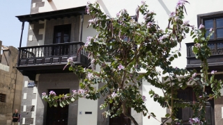 Kanaren_GranCanaria2_079