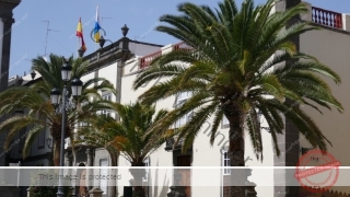 Kanaren_GranCanaria2_082