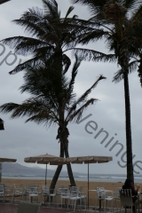 Kanaren_GranCanaria_022