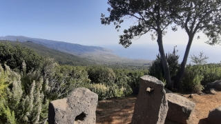 Kanaren_LaPalma_004