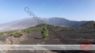 Kanaren_LaPalma_013