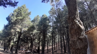 Kanaren_LaPalma_019