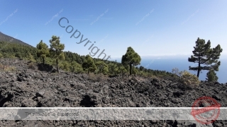 Kanaren_LaPalma_025