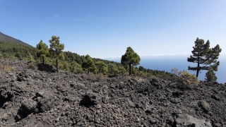 Kanaren_LaPalma_025