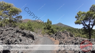 Kanaren_LaPalma_028