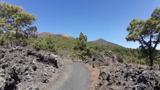 Kanaren_LaPalma_028
