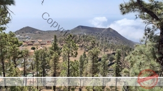 Kanaren_LaPalma_034