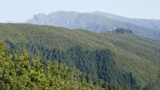 Kanaren_LaPalma_073