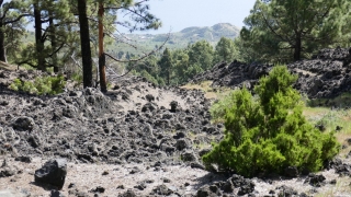 Kanaren_LaPalma_091