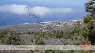 Kanaren_LaPalma_112