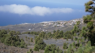 Kanaren_LaPalma_112