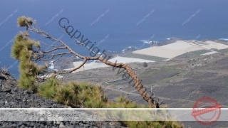 Kanaren_LaPalma_118