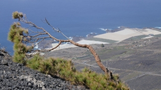 Kanaren_LaPalma_118