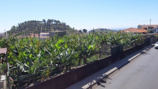 Kanaren_Madeira_004