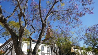 Kanaren_Madeira_034