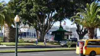 Kanaren_Madeira_040