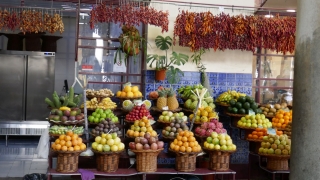 Kanaren_Madeira_052