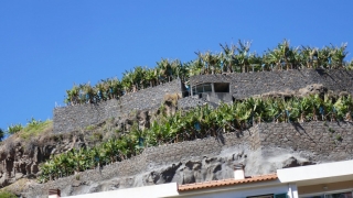 Kanaren_Madeira_070