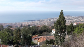 Kanaren_Madeira2_010