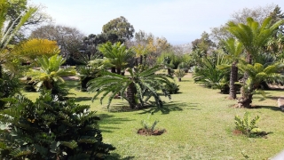 Kanaren_Madeira2_025