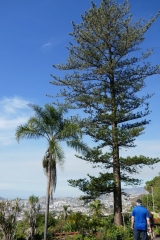 Kanaren_Madeira2_073