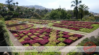 Kanaren_Madeira2_088