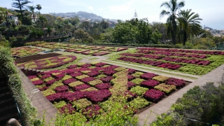 Kanaren_Madeira2_088