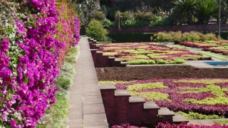 Kanaren_Madeira2_091