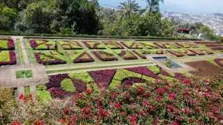 Kanaren_Madeira2_097