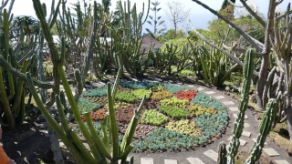 Kanaren_Madeira2_103