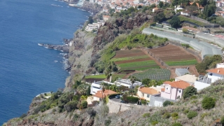Kanaren_Madeira2_124